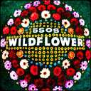 Track Artwork 105681