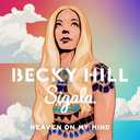 Track Artwork 113455