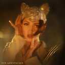 Track Artwork 125113