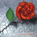 Track Artwork 125310