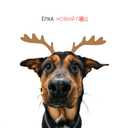 Track Artwork 145248