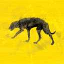 Track Artwork 171527