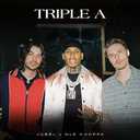 Track Artwork 173383
