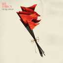 Track Artwork 173492