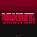 Track Artwork 205313