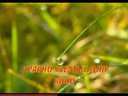 Track Artwork 21460