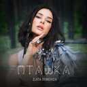 Track Artwork 215294