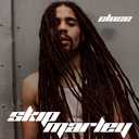 Track Artwork 228796