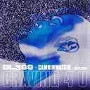 Track Artwork 229621