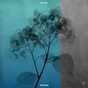 Track Artwork 234748