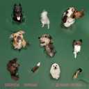 Track Artwork 238697