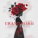 Track Artwork 241701