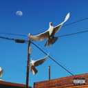 Track Artwork 242416