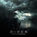 Track Artwork 243348