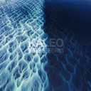 Track Artwork 247887