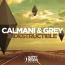 Track Artwork 60730