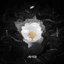 Track Artwork 84388