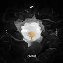 Track Artwork 87101