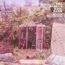 Track Artwork 91596